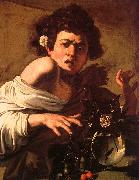 Caravaggio Youth Bitten by a Green Lizard oil on canvas