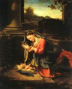 Correggio Madonna Worshipping the Child china oil painting artist