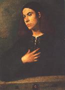 Giorgione Portrait of a Youth (Antonio Broccardo) dsdg oil on canvas