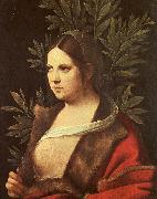 Giorgione Laura oil