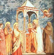 Scenes from the Life of the Virgin Giotto
