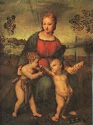 Raphael Madonna of the Goldfinch painting