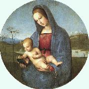 Raphael Conestabile Madonna oil on canvas