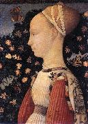 PISANELLO Portrait of a Princess of the House of Este  vhh oil on canvas