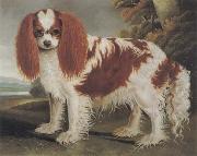 J.L.Clark King Charles Spaniel II china oil painting reproduction