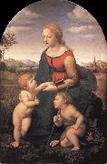 Raphael The Virgin and Child with the infant Saint John the Baptist china oil painting artist