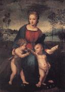 Raphael The Madonna of the Goldfinch china oil painting artist