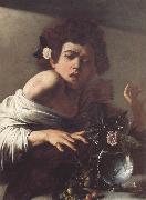 Caravaggio Boy Bitten by a Lizard oil on canvas