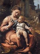 Correggio The Madonna of the Basket oil on canvas