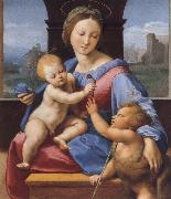 Raphael The Madonna and Child with teh Infant Baptist oil on canvas