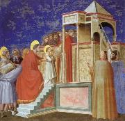 Giotto Presentation of the VIrgin ar the Temple oil on canvas