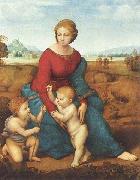 Raphael The Madonna of the Meadow oil on canvas
