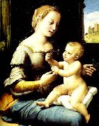 Raphael madonna of the pinks oil