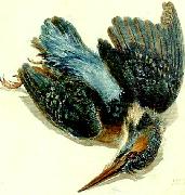 J.M.W.Turner kingfisher oil on canvas