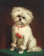 Anonymous Portrait of a Maltese dog oil painting picture wholesale