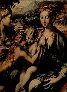 PARMIGIANINO Thronende Madonna, Hl. Zacharias, Hl. Johannes der Taufer und Hl. Maria Magdalena oil on canvas