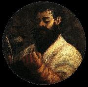 Titian St Mark china oil painting artist