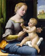 Raphael Madonna dei garofani painting