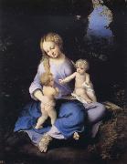 Correggio Madonna and Child with the Young Saint John china oil painting reproduction