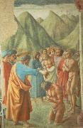 MASACCIO The Baptism of the Neophytes oil on canvas