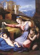 Raphael The Virgin with the Veil (mk05) oil on canvas