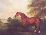 horse03 oil painting reproduction