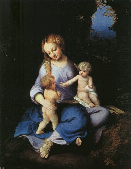 Correggio Madonna and Child with the Young Saint John china oil painting image