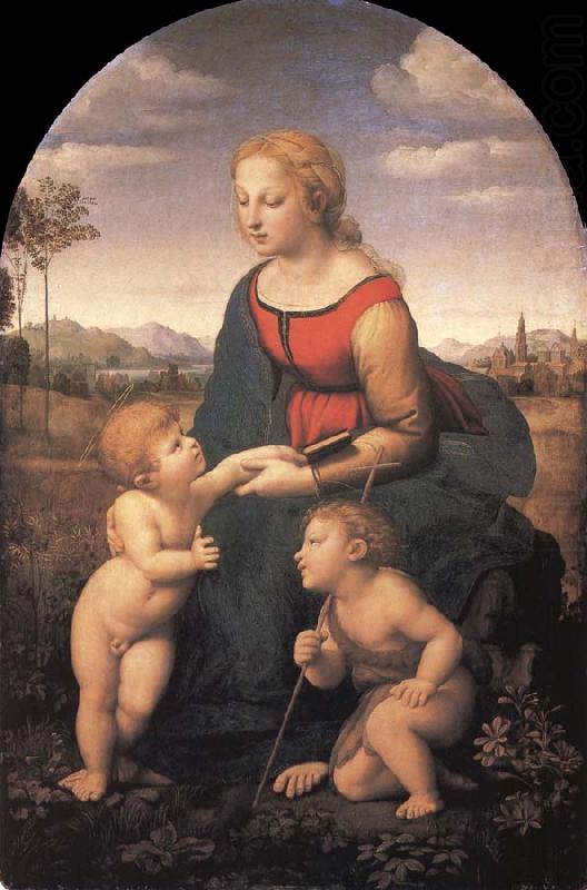 Raphael The Virgin and Child with the infant Saint John the Baptist china oil painting image