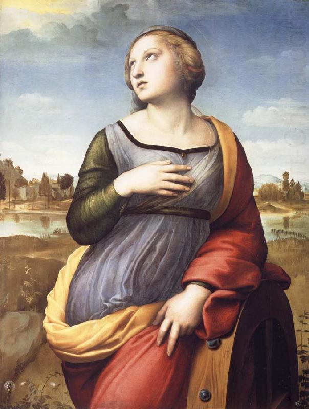 Raphael Saint Catherine of Alexandria china oil painting image