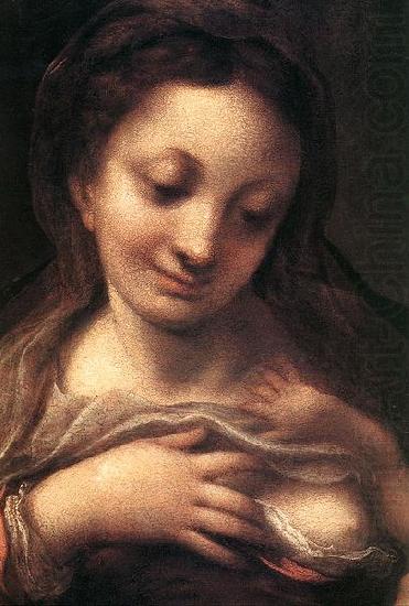 Correggio Virgin and Child with an Angel china oil painting image