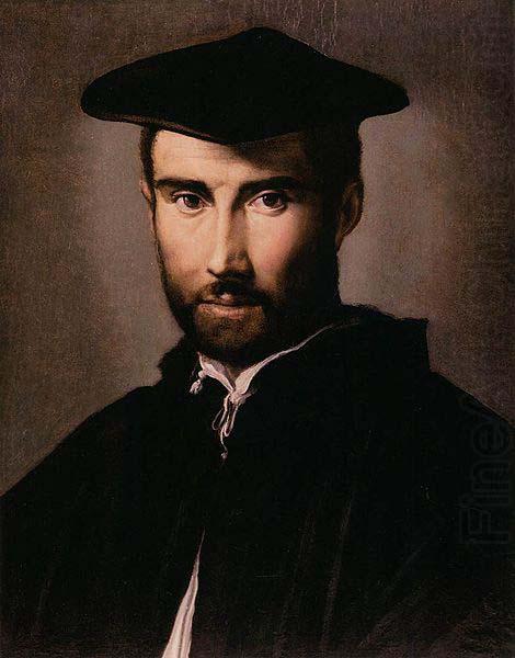 PARMIGIANINO Portrait of a Man china oil painting image