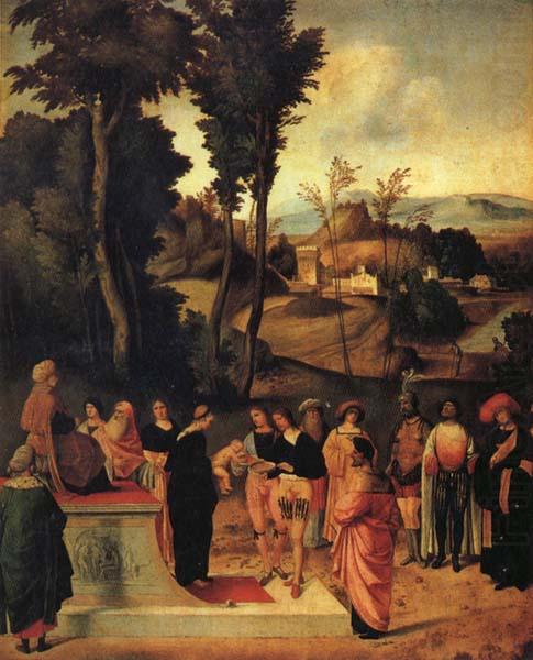 Giorgione Moses' Trial by Fire china oil painting image