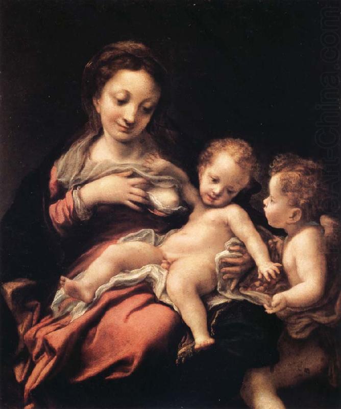 Correggio Madonna del Latte china oil painting image