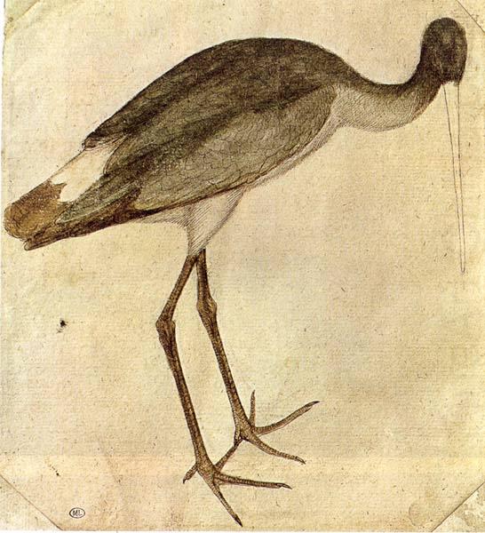 PISANELLO Stork china oil painting image