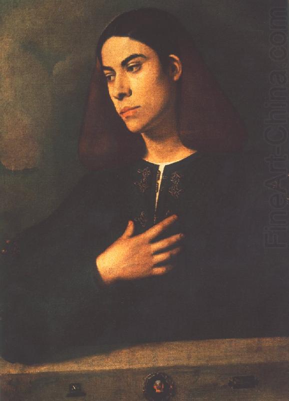 Portrait of a Youth (Antonio Broccardo) dsdg, Giorgione