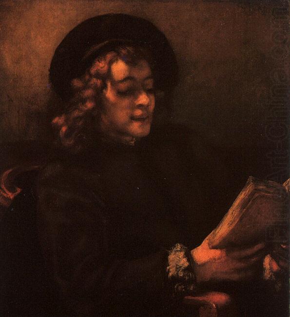 Rembrandt Portrait of Titus oil painting picture