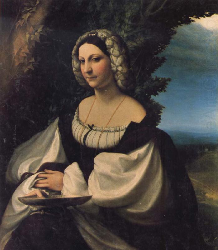 Portrait of a Lady, Correggio