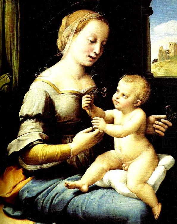 madonna of the pinks, Raphael