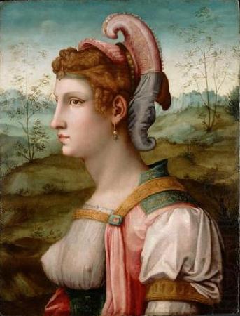 Sibylle, BACCHIACCA
