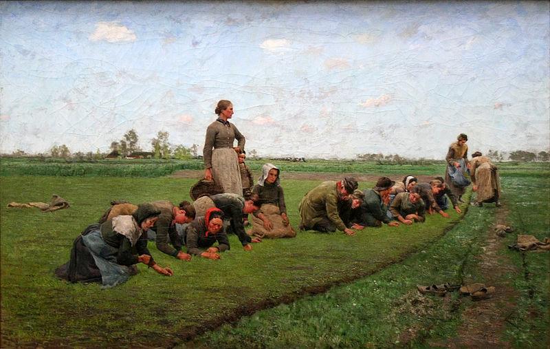 Flaxweeding in Flanders, E.Claus