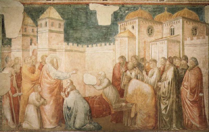 The Raising of Drusiana,Cappella Peruzzi, Giotto