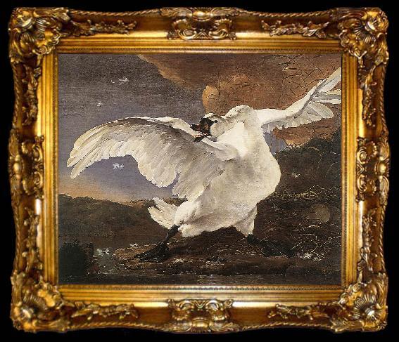 framed  ASSELYN, Jan The Threatened Swan, ta009-2