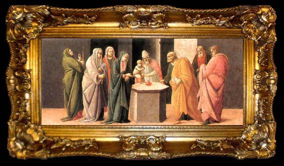framed  BARTOLOMEO DI GIOVANNI Predella: Presentation at the Temple  dd, ta009-2