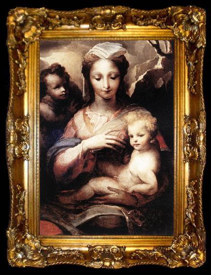 framed  BECCAFUMI, Domenico Madonna with the Infant Christ and St John the Baptist  gfgf, ta009-2