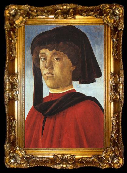 framed  BOTTICELLI, Sandro Portrait of a Young Man fddg, ta009-2