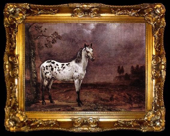 framed  POTTER, Paulus The Spotted Horse af, ta009-2