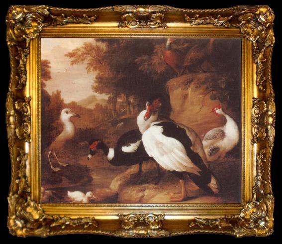 framed  Jakob Bogdani Wild Ducks, ta009-2