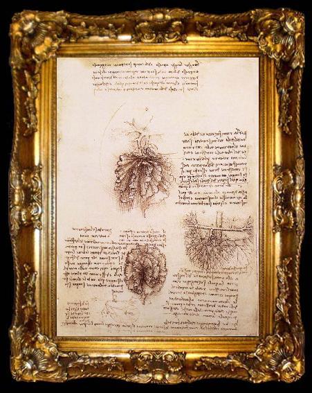 framed  LEONARDO da Vinci Gekrose of the intestine and its Gefabsystems, ta009-2