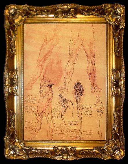 framed  LEONARDO da Vinci Muscles and bone of leg and Hufte, ta009-2