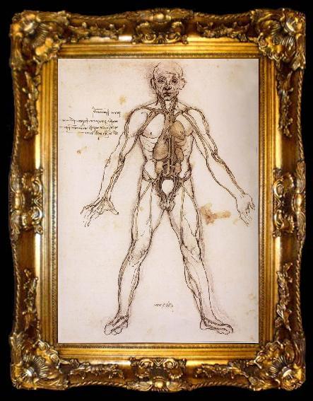 framed  LEONARDO da Vinci You branching of the Blutgefabe, anatomical figure with heart kidneys and Blutgefaben, ta009-2